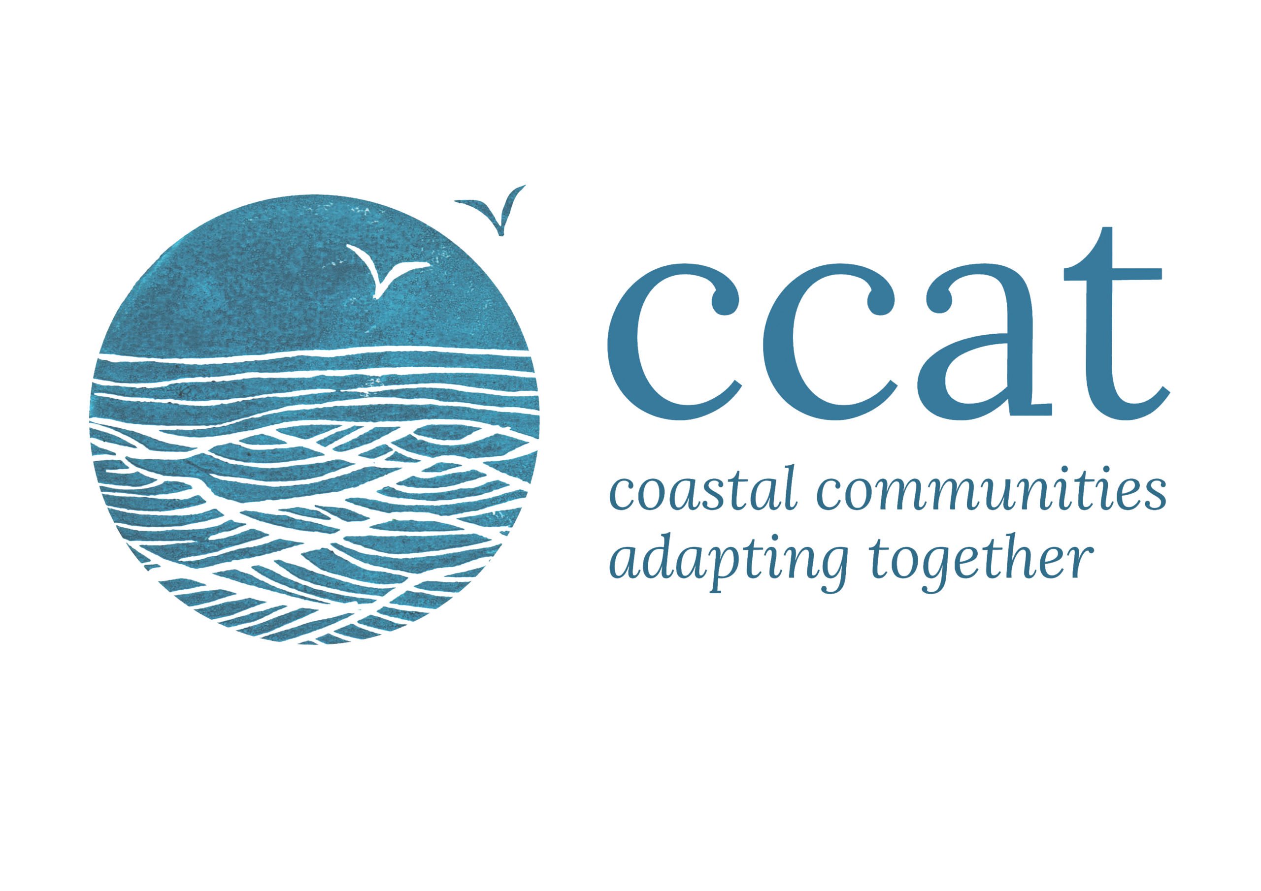 CCAT Animation